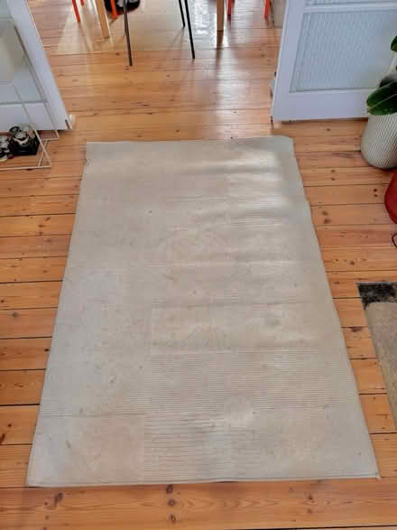Photo of free Indoor outdoor carpet (E17) #1