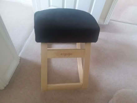 Photo of free Ergogio Ergonomic Chair (Barton-on-Sea BH25) #3