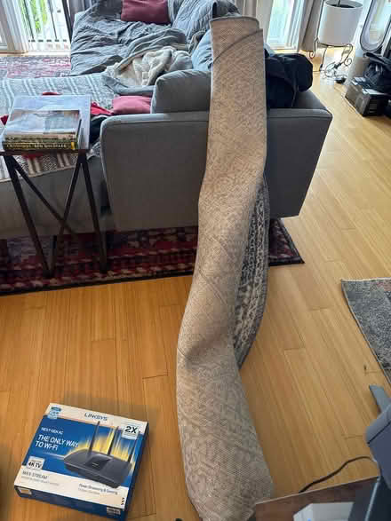 Photo of free 8’ grey rug, Modem/Router, and more (Los Feliz) #2