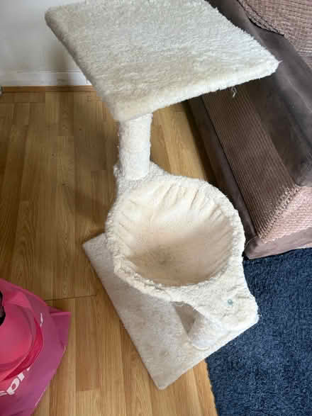 Photo of free Cat tower and bed (Lower earley) #1