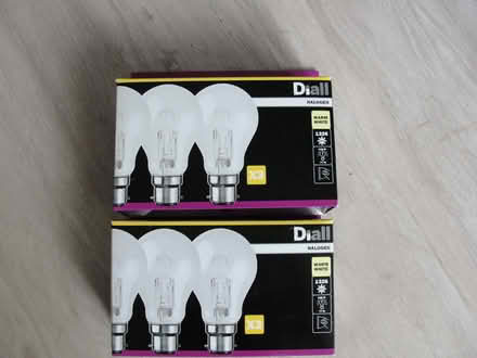 Photo of free Lightbulbs (Oakwood Park EN2) #1
