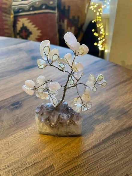 Photo of free Amethyst Tree (GL50) #1