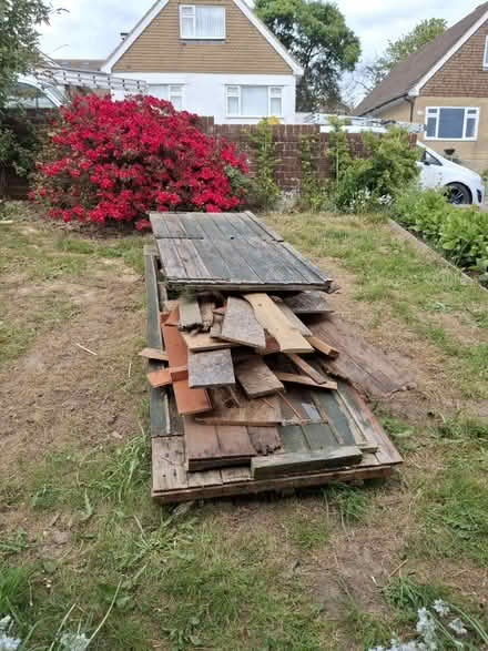 Photo of free Wood (Hastings TN34) #1