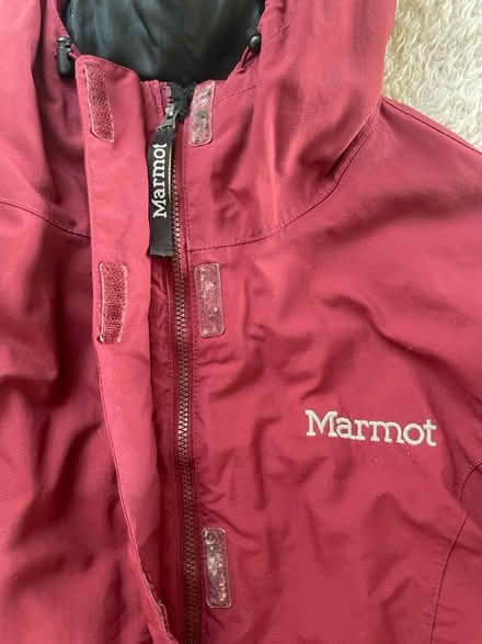 Photo of free Jacket Women’s 10-12/older child (BN1) #2