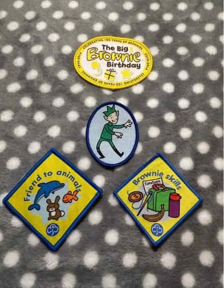 Photo of free Girl guiding / brownie patches (Jennetts park RG12) #1