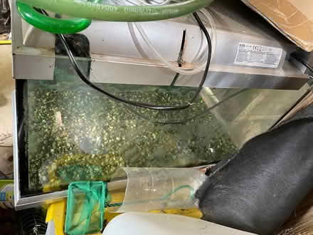 Photo of free 54L Aquarium, fishtank stand, equip (Bicester East OX26) #1