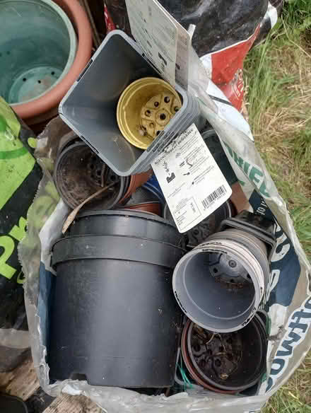 Photo of free Plant posts and seed trays (Tuffley Gloucester) #4