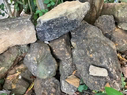 Photo of free Rockery rocks (Nash MK17) #1