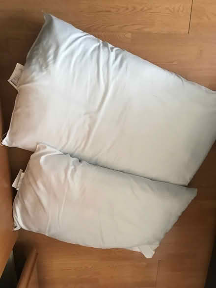 Photo of free 2 soft pillows (N17) #1