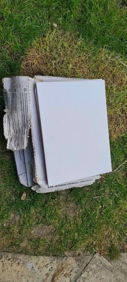Photo of free White wall tiles (Binfield Heath RG9) #1