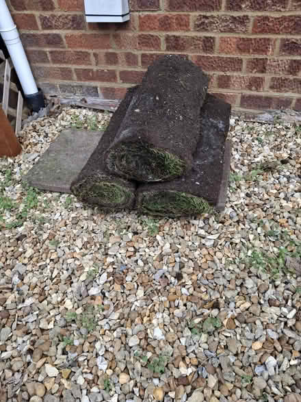 Photo of free 3 rolls of turf 1m long each (Stantonbury, MK14) #3