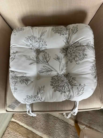 Photo of free 2 Comfortable seat cushions (Horsham RH12 1) #2