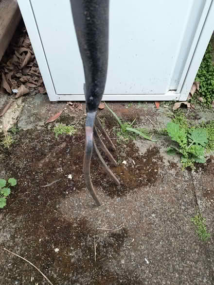 Photo of free Small Garden Fork (bent tine) (Iffley Road OX4) #2