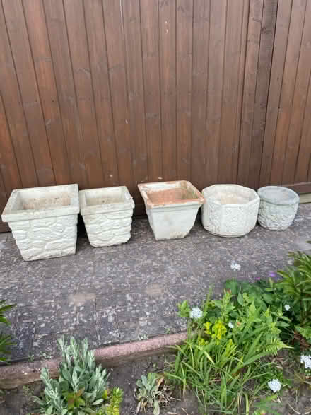 Photo of free Plant pots (Noctorum CH43) #1