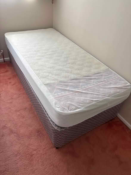 Photo of free Single bed with mattress (EN11 8JS) #1