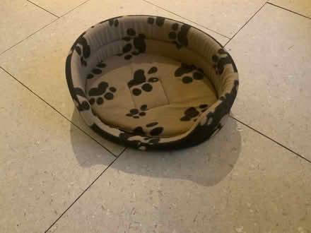 Photo of free Cat or dog bed (Starbeck HG1) #1