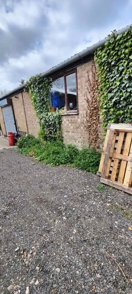 Photo of free Pallets (SG16) #3