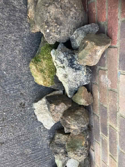 Photo of free Rockery rocks (Nash MK17) #3