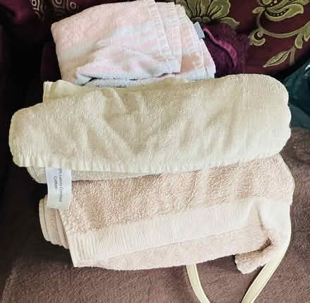 Photo of free Towels suitable for dogs (Clayton le Woods PR6) #3