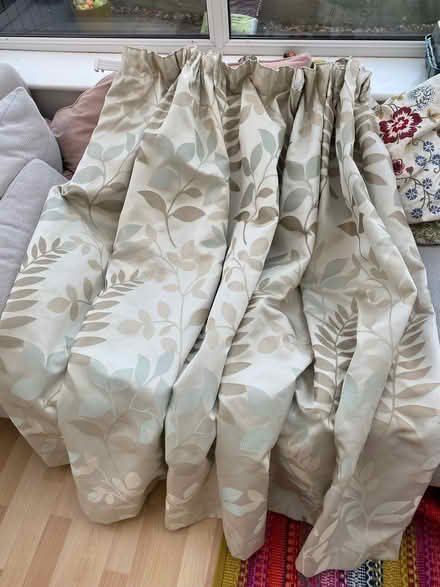 Photo of free Curtains (Kings Heath B13) #2