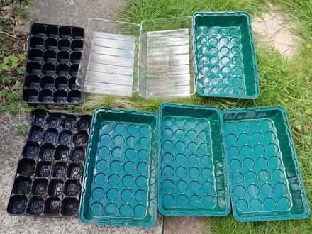 Photo of free Seed trays (Bradwell. MK13) #1