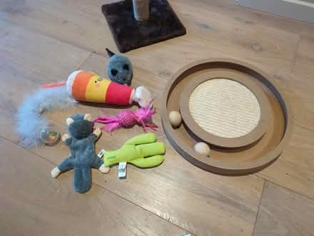 Photo of free Collection of cats toys/bed (W12 Shepherd's Bush) #4