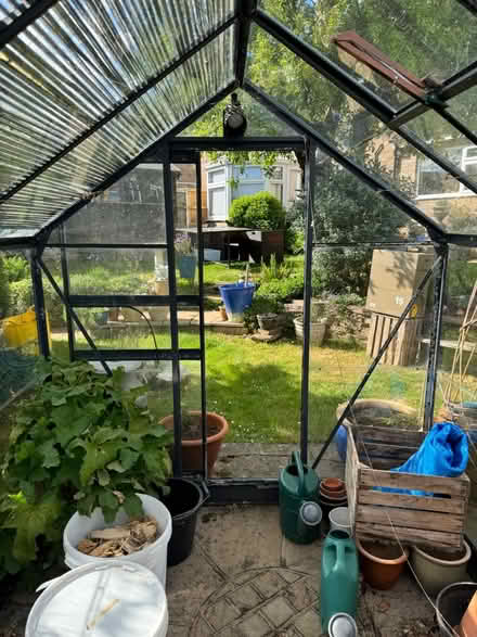 Photo of free 6 x 8 greenhouse (Hitchin (South)) #3