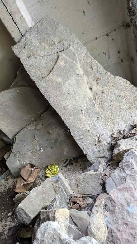 Photo of free Rough stone suitable for edging in garden or surrounding pon (Hall i' th' Wood BL2) #3