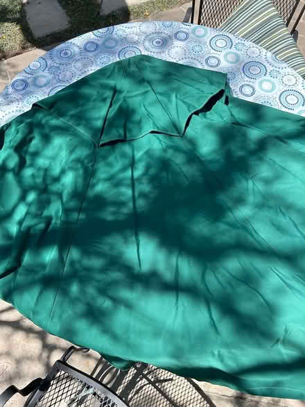Photo of free Green umbrella canopy (Alameda) #1