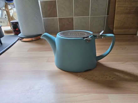 Photo of free Oval Infuser Tea Pot with Drip Tray (Halton LS15) #1