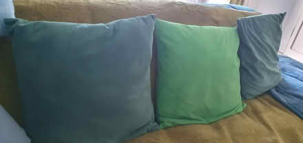 Photo of free Cushions (St leonards TN37) #1