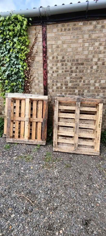 Photo of free Pallets (SG16) #2
