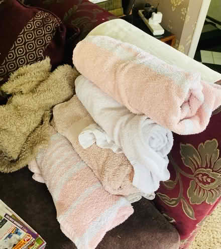 Photo of free Towels suitable for dogs (Clayton le Woods PR6) #1