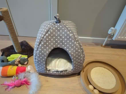 Photo of free Collection of cats toys/bed (W12 Shepherd's Bush) #3