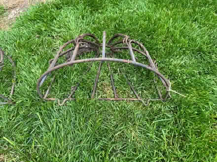 Photo of free Metal hay baskets for plants (SY2) #2