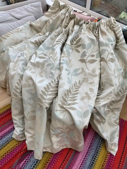 Photo of free Curtains (Kings Heath B13) #3