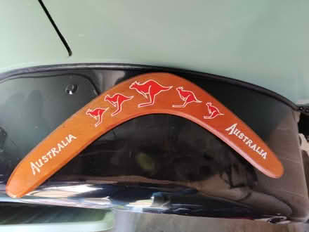 Photo of free Australian boomerang (Bengeo, Hertford SG14) #1