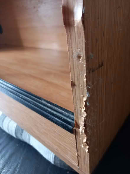 Photo of free Vivarium (Staincliffe WF13) #2