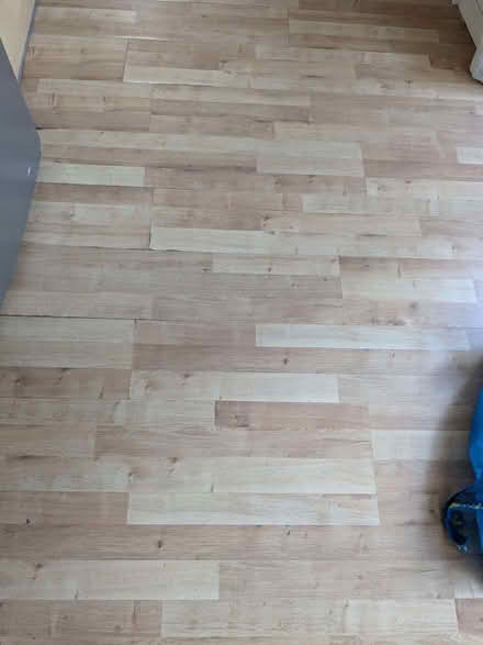 Photo of free Used Laminate flooring (Bell Gardens E17) #2