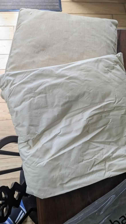 Photo of free Cushions (Filton) #1