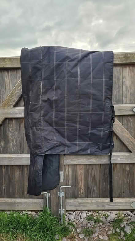 Photo of free Car hammock for dog (Bucknell) #2