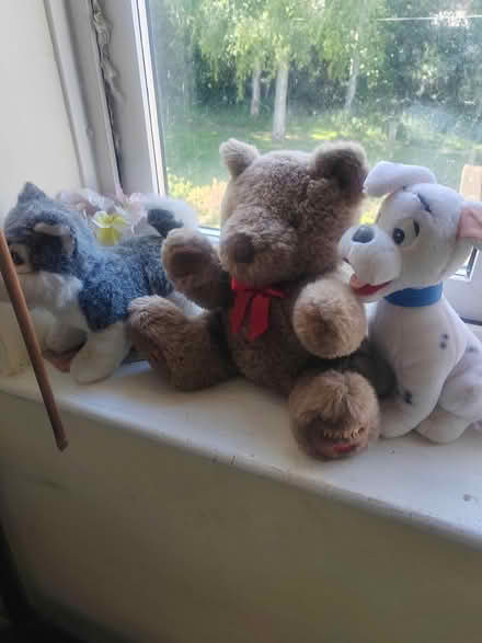 Photo of free Job lot cuddly toys (Whittlesey) #3