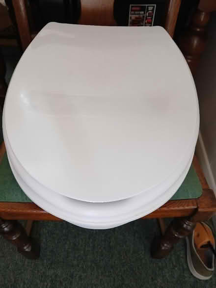 Photo of free Toilet riser seat (Fleetville AL1) #1