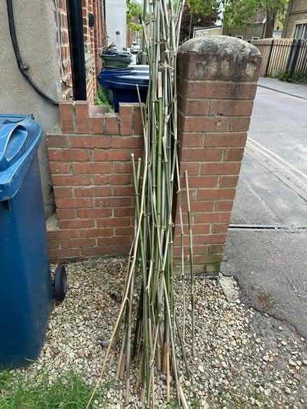 Photo of free Bamboo sticks (Vicarage Road) #1