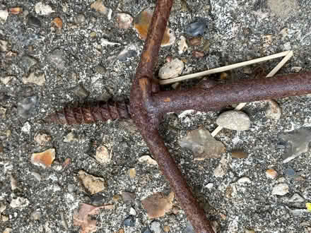 Photo of free Outdoor plant support (Liphook GU30) #1