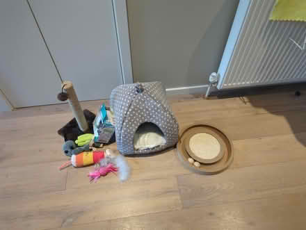 Photo of free Collection of cats toys/bed (W12 Shepherd's Bush) #1