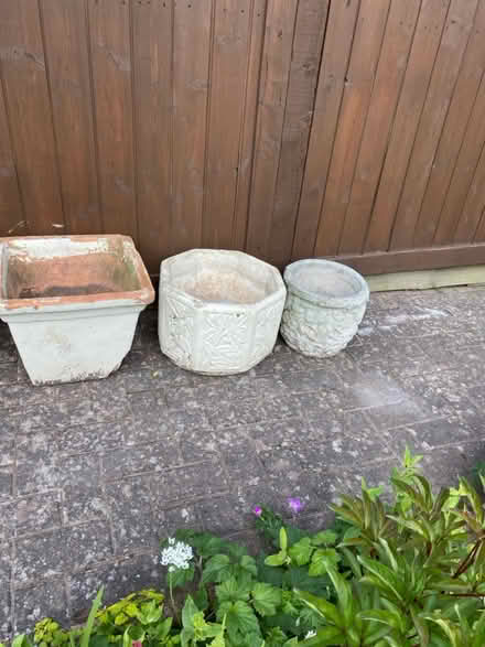 Photo of free Plant pots (Noctorum CH43) #3