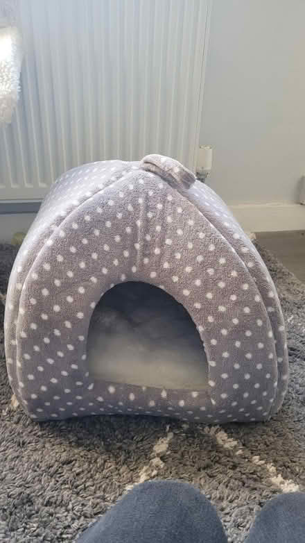 Photo of free Cat bed (Barden Park, Tonbridge) #1