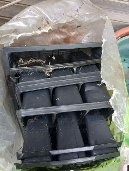 Photo of free Plant posts and seed trays (Tuffley Gloucester) #3