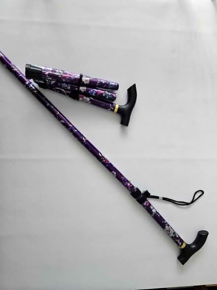Photo of free Pair of walking sticks (EX8) #2